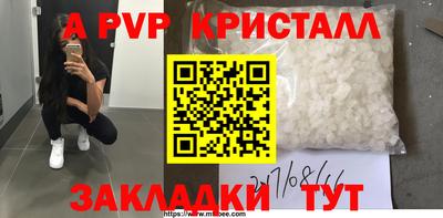стафф Можга