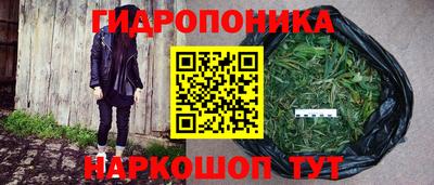 2c-b Моздок
