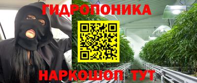 стафф Можга
