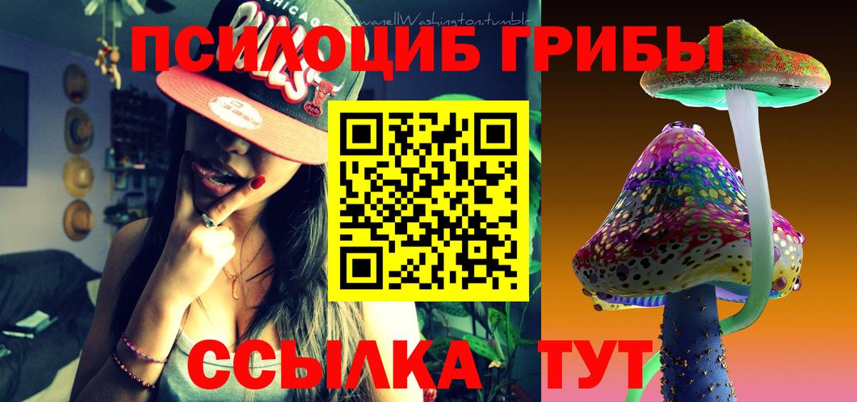 Унеча  Галлюциногенные грибы Psilocybine cubensis  Галлюциногенные грибы Psilocybine cubensis  Вход с VPN 