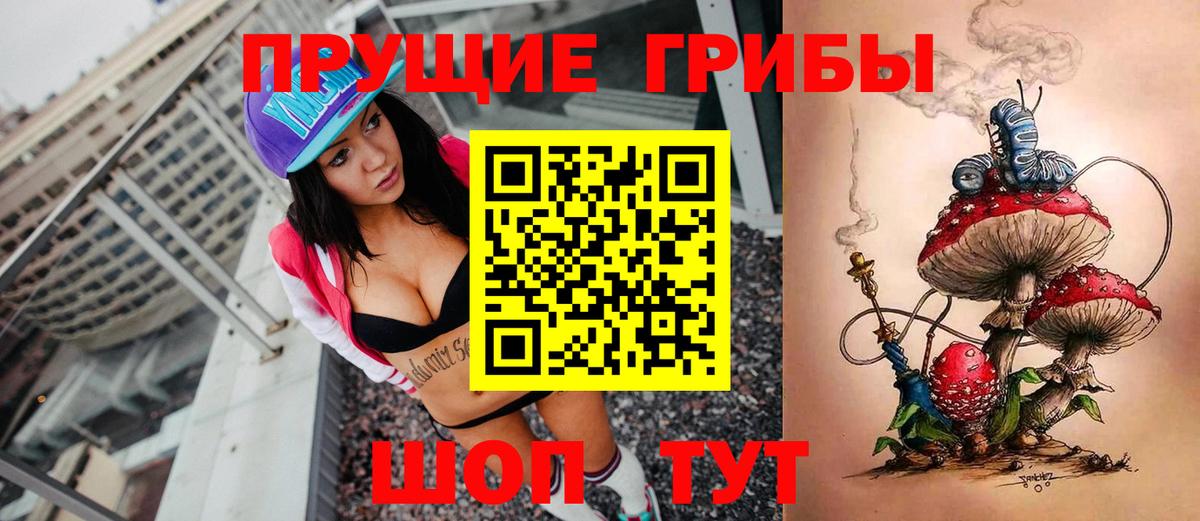 Галлюциногенные грибы Psilocybe Унеча